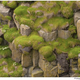 Image for article titled A Journey To Scotland Reveals The True Inspiration For Avatar's Pandora